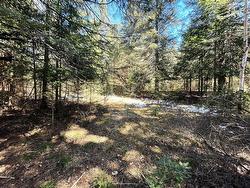 Land/Lot - 