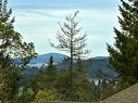 6782 Greig Crt, Central Saanich, BC  - Outdoor With View 