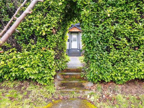 635 Haliburton St, Nanaimo, BC - Outdoor