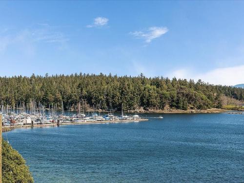 402-55 Dawes St, Nanaimo, BC - Outdoor With Body Of Water With View