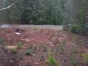 Lot 107 Vickers Trail, Anglemont, BC  - Outdoor With View 