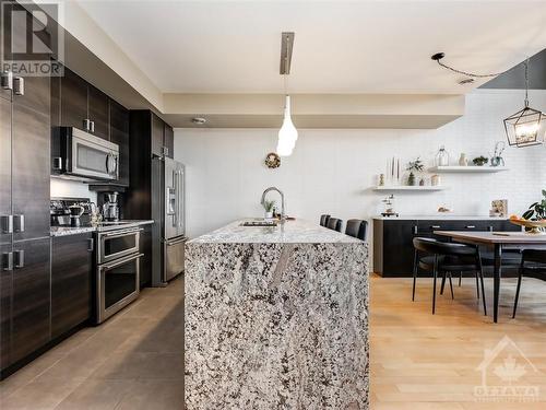 153 Poplin Street, Ottawa, ON - Indoor Photo Showing Kitchen With Stainless Steel Kitchen With Upgraded Kitchen