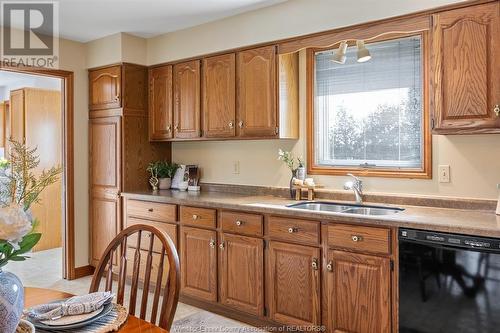 15301 Morris, Lakeshore, ON - Indoor Photo Showing Kitchen With Double Sink