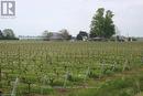 1391 Fifth St, St. Catharines, ON 