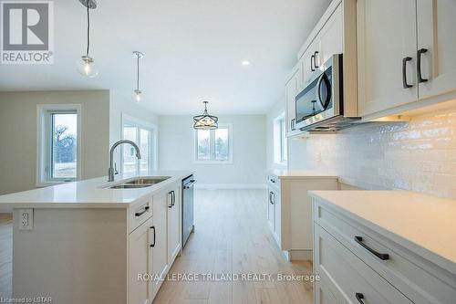 36 Cottonwood Blvd, Aylmer, ON - Indoor Photo Showing Kitchen With Double Sink With Upgraded Kitchen