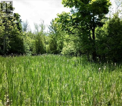 Part Lot 2 Concession 3, Meaford, ON 