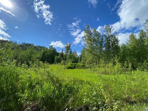 2965 Buffalo Springs Road, Barriere, BC - Outdoor With View