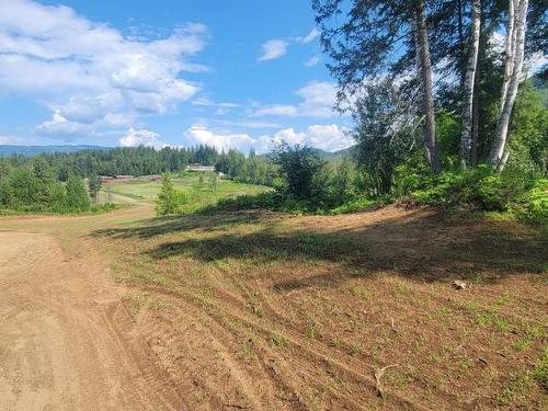 Lot 1 Dl 2 Yellowhead Highway, Clearwater, BC 