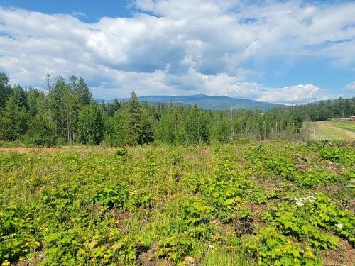 Lot 1 Dl 2 Yellowhead Highway, Clearwater, BC 