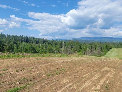 Lot 1 Dl 2 Yellowhead Highway, Clearwater, BC 