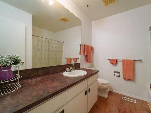 49-1435 Summit Drive, Kamloops, BC - Indoor Photo Showing Bathroom