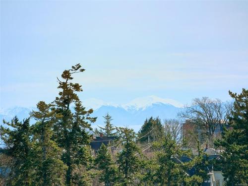 405-103 Gorge Rd East, Victoria, BC - Outdoor With View