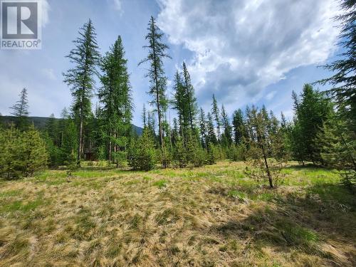 Lot 3 Whitetail Lake Road, Canal Flats, BC 