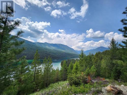 Lot 3 Whitetail Lake Road, Canal Flats, BC 