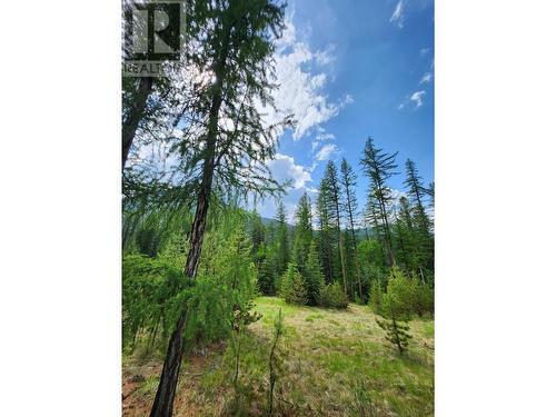 Lot 3 Whitetail Lake Road, Canal Flats, BC 