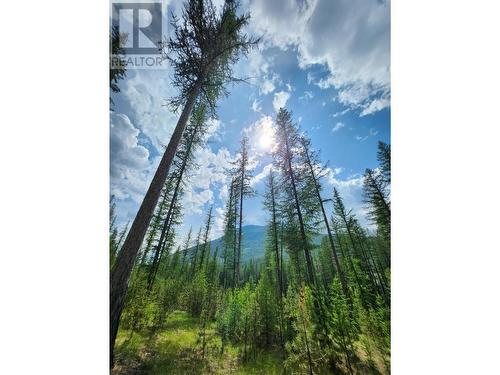 Lot 3 Whitetail Lake Road, Canal Flats, BC 