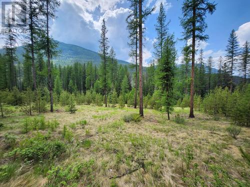 Lot 3 Whitetail Lake Road, Canal Flats, BC 