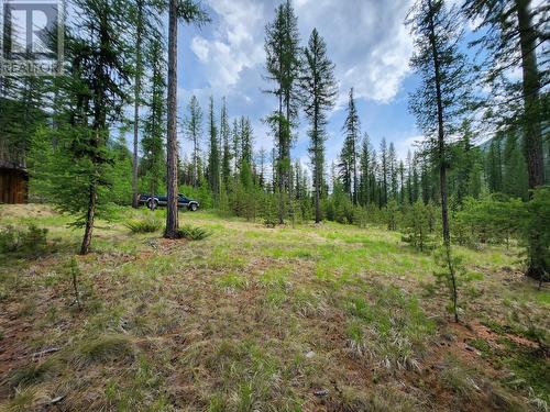 Lot 3 Whitetail Lake Road, Canal Flats, BC 