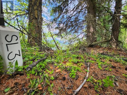 Lot 3 Whitetail Lake Road, Canal Flats, BC 