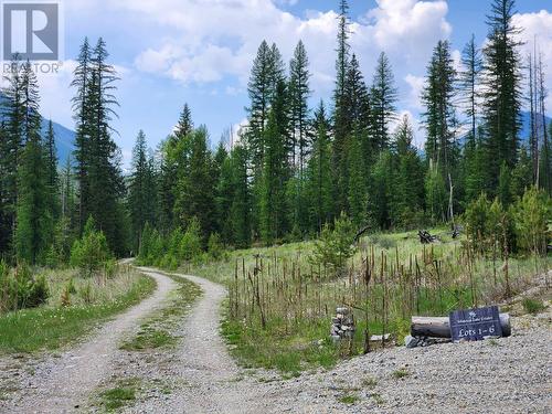 Lot 3 Whitetail Lake Road, Canal Flats, BC 