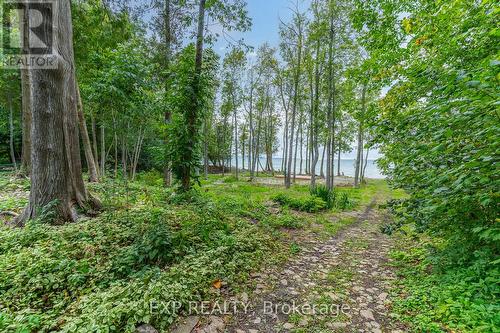 168 Queens Bush Drive, Meaford, ON - Outdoor