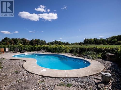 1232 South Shore Rd, Greater Napanee, ON - Outdoor With In Ground Pool With Backyard