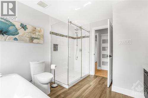3095 Duquette Road, Clarence-Rockland, ON - Indoor Photo Showing Bathroom