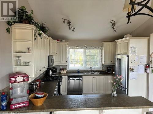 56 Silversides Point Drive, Northern Bruce Peninsula, ON - Indoor Photo Showing Kitchen With Double Sink
