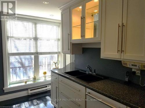 #307 -460 Wellington St, London, ON - Indoor Photo Showing Kitchen With Double Sink