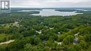 199 Napoleon St, Grey Highlands, ON  - Outdoor With View 