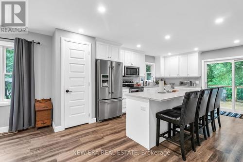 199 Napoleon Street, Grey Highlands, ON - Indoor Photo Showing Kitchen