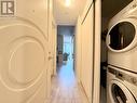 2204 - 88 Blue Jays Way, Toronto, ON  - Indoor Photo Showing Laundry Room 