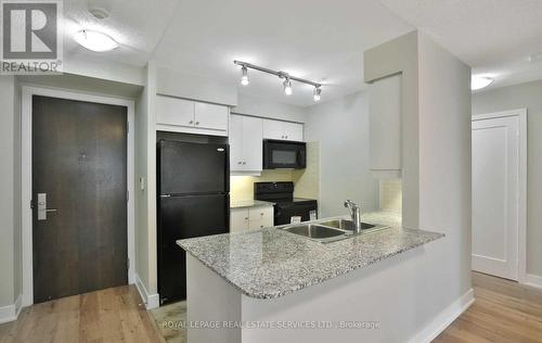 818 - 20 Blue Jays Way, Toronto, ON - Indoor Photo Showing Kitchen With Double Sink