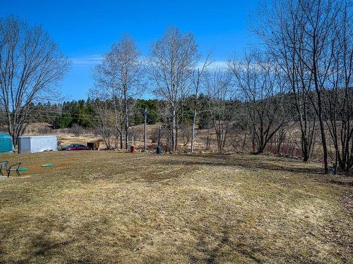 Backyard - 107 Route 323, Brébeuf, QC - Outdoor With View