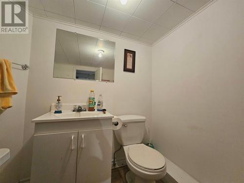 8 Grades Avenue, Cow Head, NL - Indoor Photo Showing Bathroom