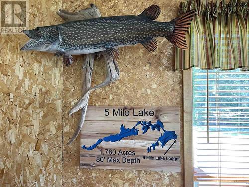 . Five Mile Lake Lodge Rd|Reaney Township, Chapleau, ON - 