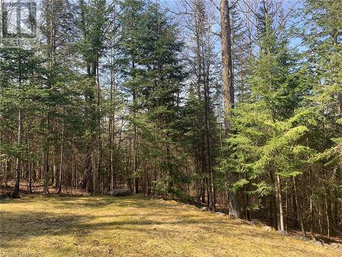 503125 Grey Road 12, West Grey, ON - Outdoor With View
