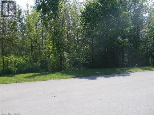 Wooded Area Across the Road - M46 Mcarthur Lane, Huron-Kinloss, ON - Outdoor