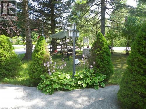 Nicely Landscaped - M46 Mcarthur Lane, Huron-Kinloss, ON - Outdoor