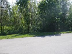Wooded Area Across the Road - 