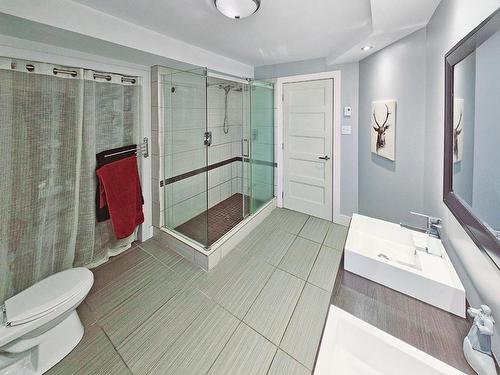 Bathroom - 1265 Rue O'Diana, Terrebonne (Lachenaie), QC - Indoor Photo Showing Bathroom