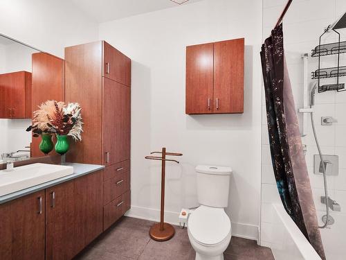 Bathroom - 101-2791 Av. D'Orléans, Montréal (Mercier/Hochelaga-Maisonneuve), QC - Indoor Photo Showing Bathroom