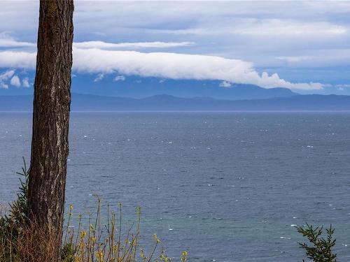 466 Heather Pl, Parksville, BC - Outdoor With Body Of Water With View