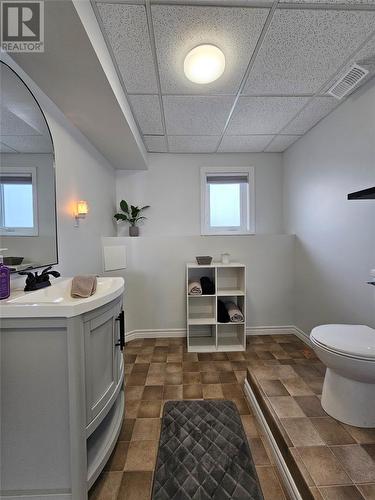 15 Country Lane, Massey Drive, NL - Indoor Photo Showing Bathroom