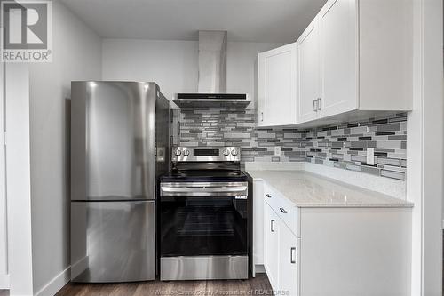 3452 Girardot Street, Windsor, ON - Indoor Photo Showing Kitchen