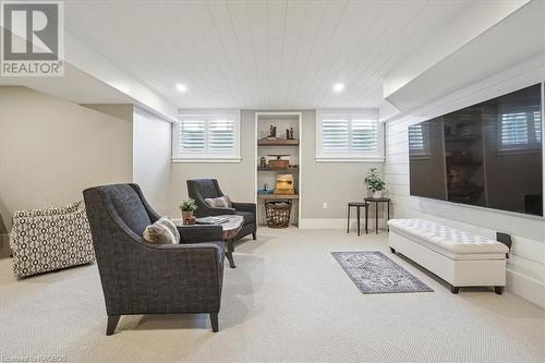 230 Ironwood Way, Kemble, ON - Indoor Photo Showing Basement