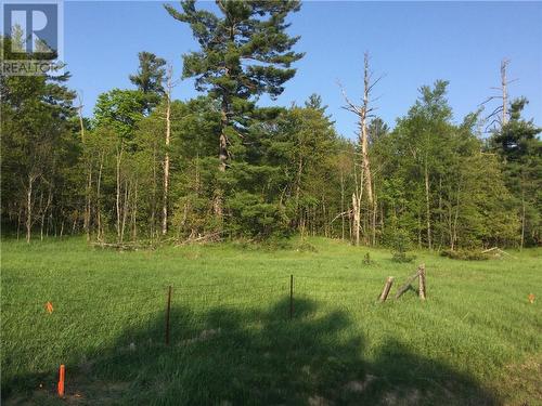 One of the cleared area's ready for your dream home. - 00 Picket Hill Lane, Burnstown, ON 