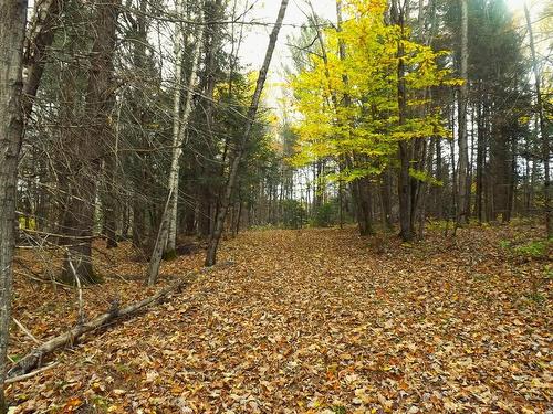 Land/Lot - 18 Ch. Dewar, Harrington, QC 