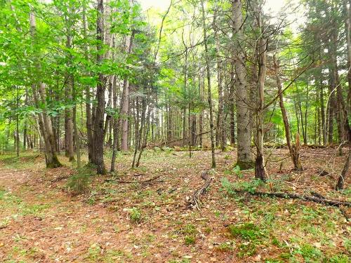 Land/Lot - 18 Ch. Dewar, Harrington, QC 