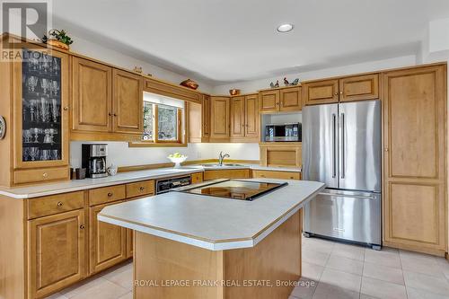 2493 Fire Route 57, Smith-Ennismore-Lakefield, ON - Indoor Photo Showing Kitchen With Double Sink